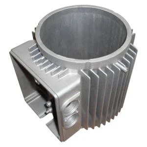 Aluminium Die Casting Motor Case